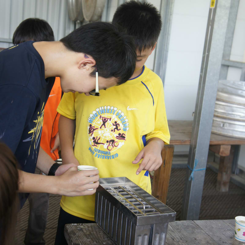 冰棒製作體驗（照片出處：新城風堂）