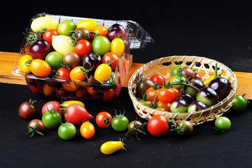 【新竹苗栗】親子同樂輕旅行二日遊