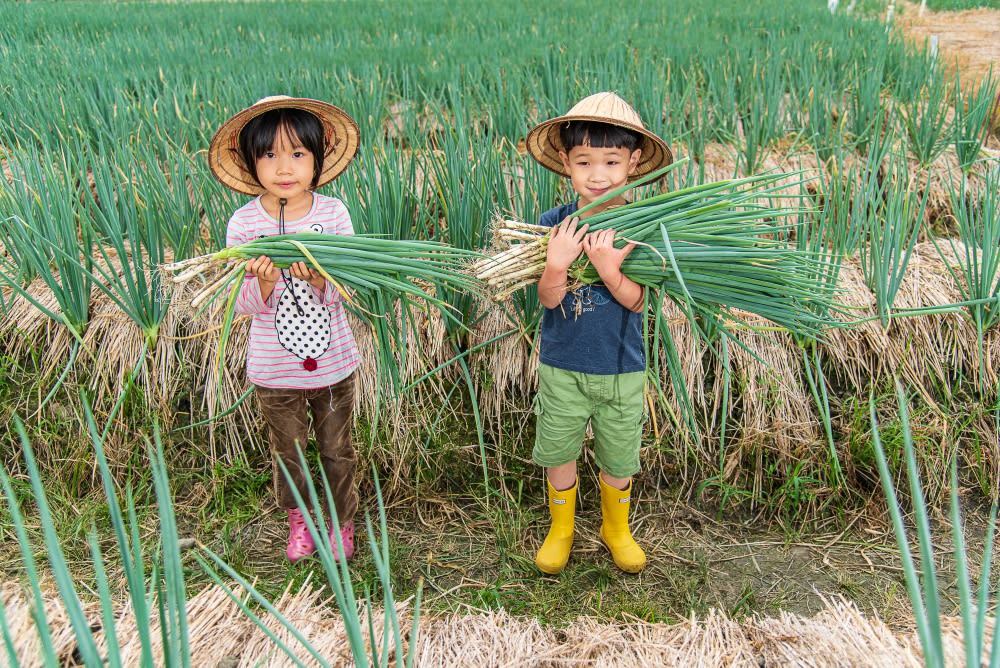 【宜蘭】自然與田野的洗禮，文化以及戶外二日遊